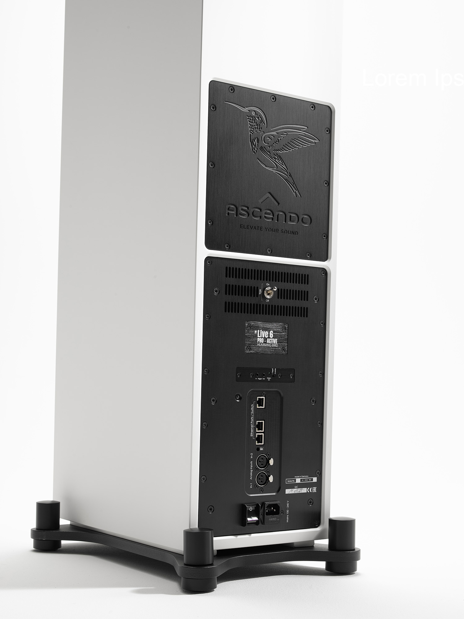 Ascendon Live 6 Humming Bird detail hinten