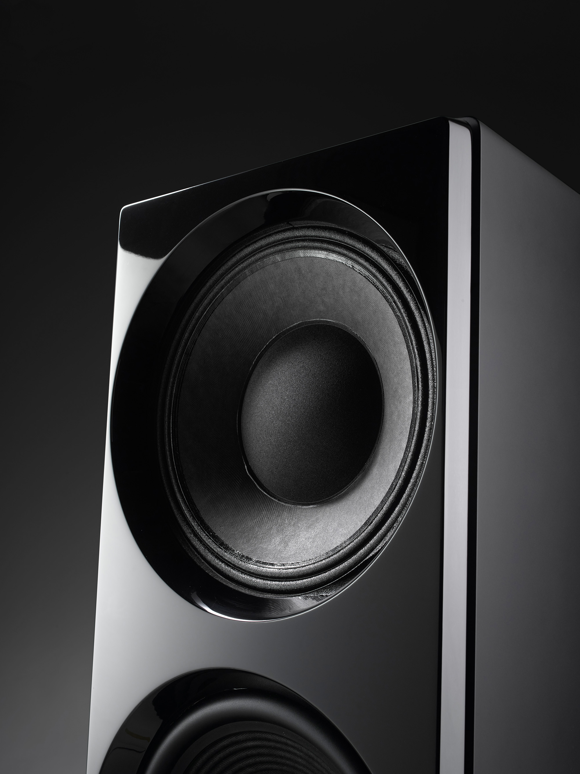 Ascendo Live 12 Komodo Dragon detail vorne