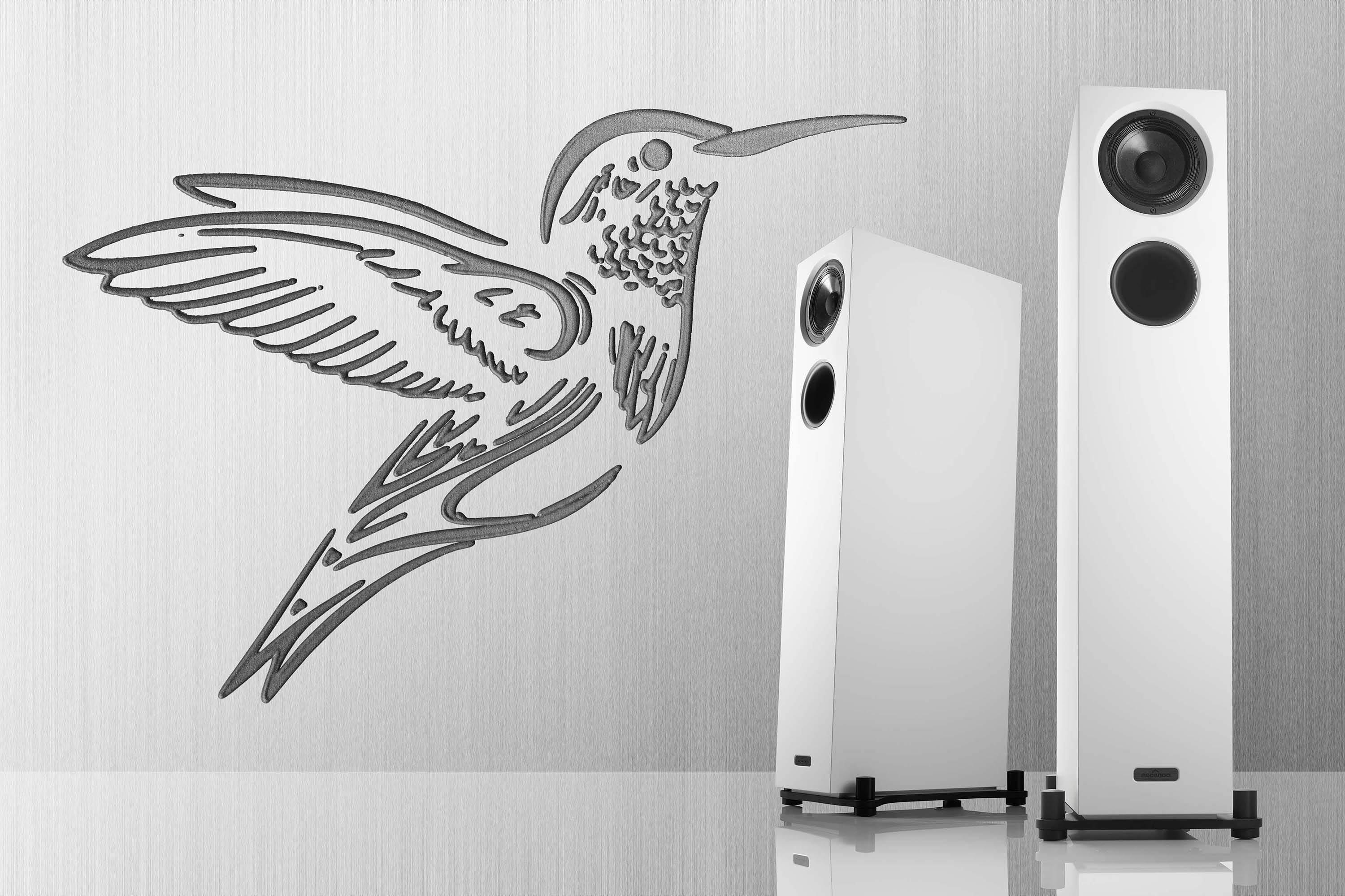 Ascendon Live 6 Humming Bird