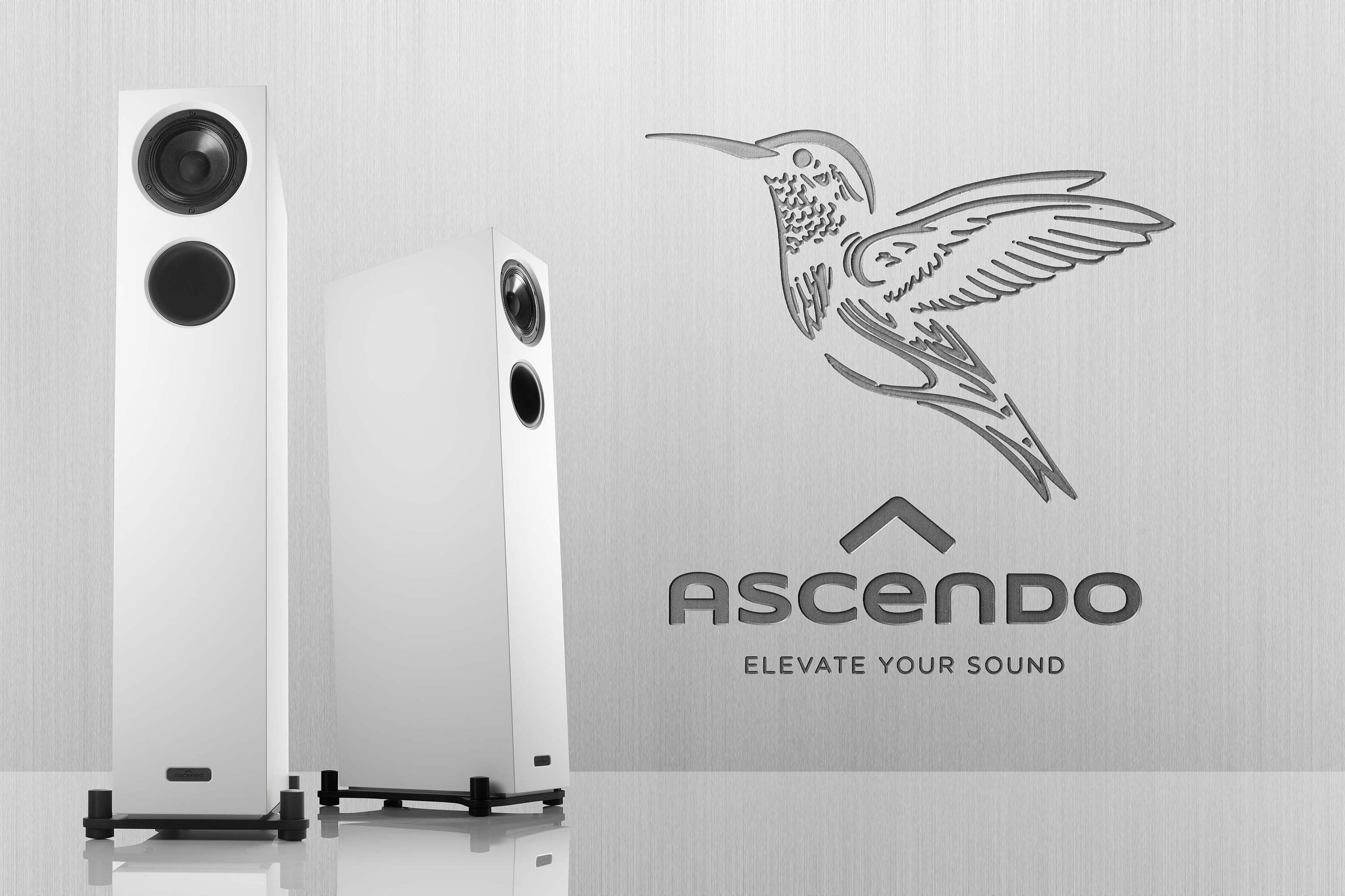 Ascendon Live 6 Humming Bird